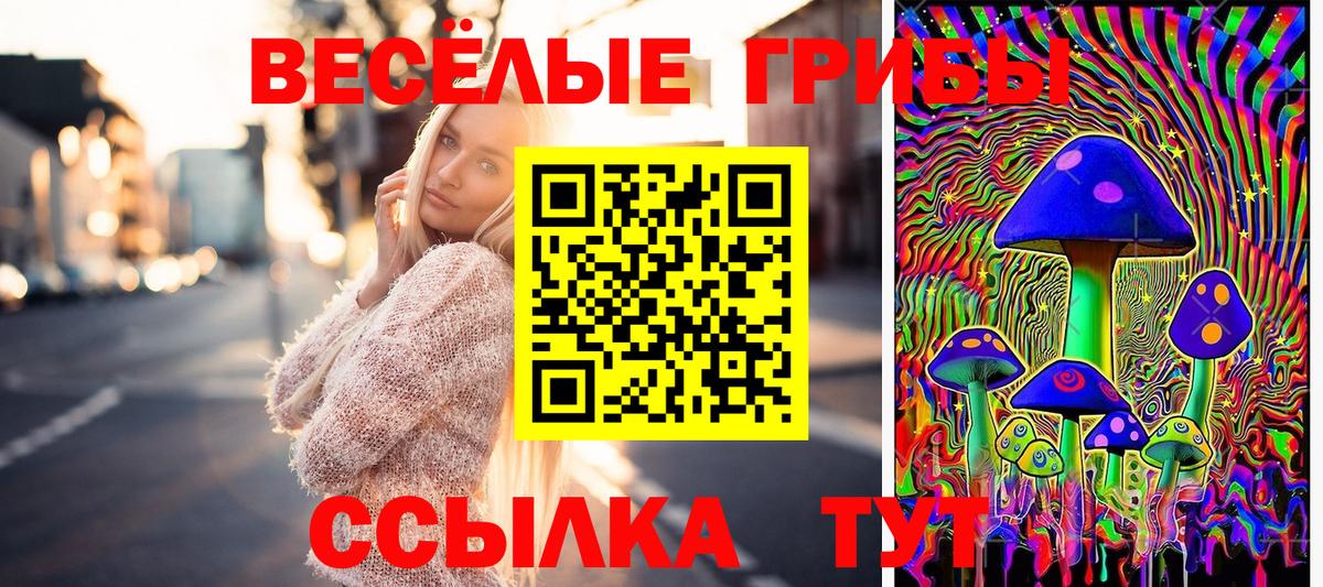 Орск  Псилоцибиновые грибы MAGIC MUSHROOMS  Вход с VPN 